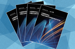 《从蓝图到伟业：中国企业数字化转型的思考与行动》